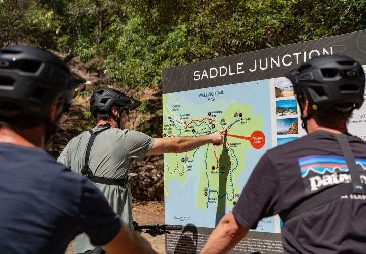 1015220 DSC03614  creator  4