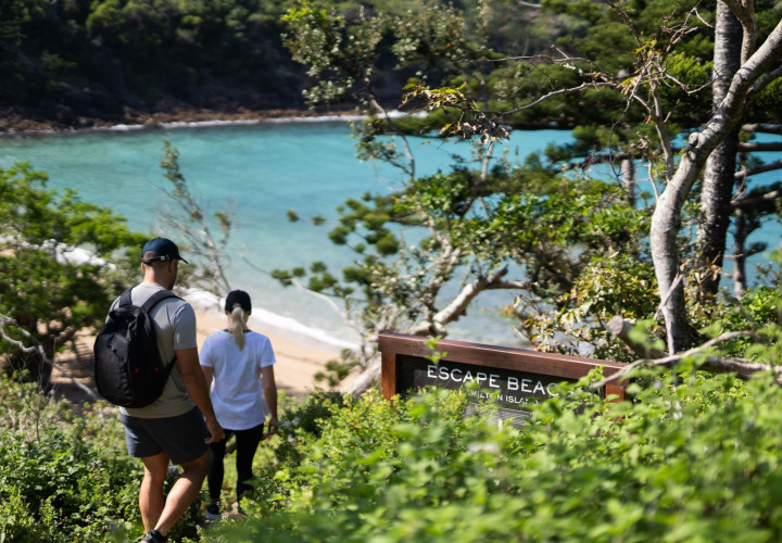 1001681 Walking Trails   Riley Williams21 13  creator  4