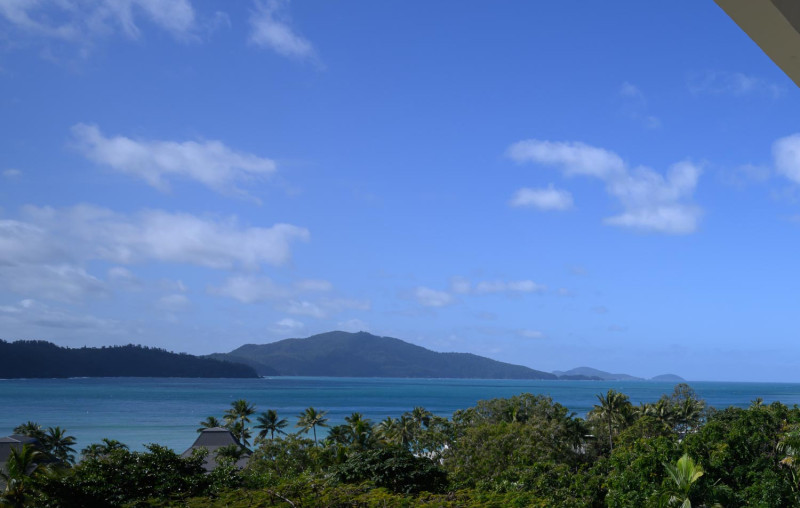 NZ8 4988