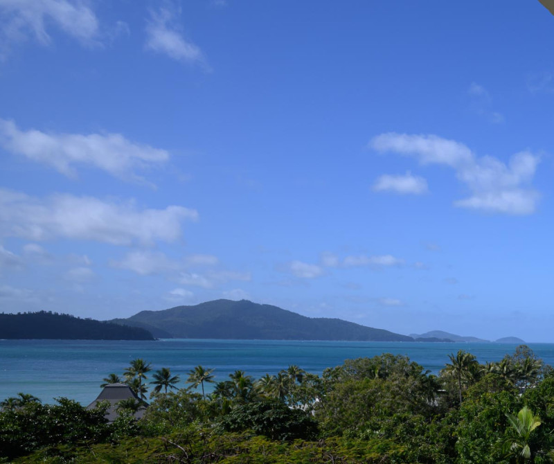 NZ8 4988