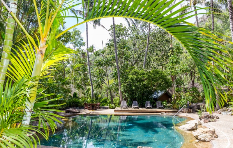 Poinciana 205  HR 0023