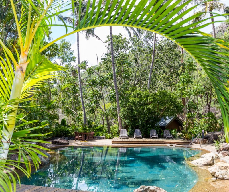 Poinciana 205  HR 0023