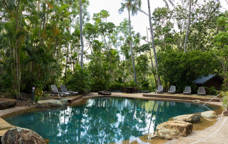 Poinciana 205  HR 0024