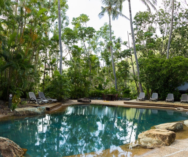 Poinciana 205  HR 0024