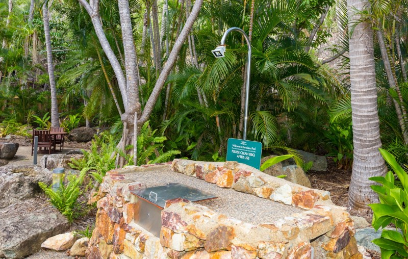 Poinciana 205  HR 0025