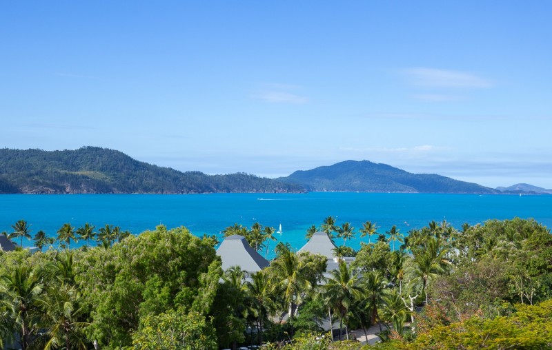 Poinciana 205 HR 0014