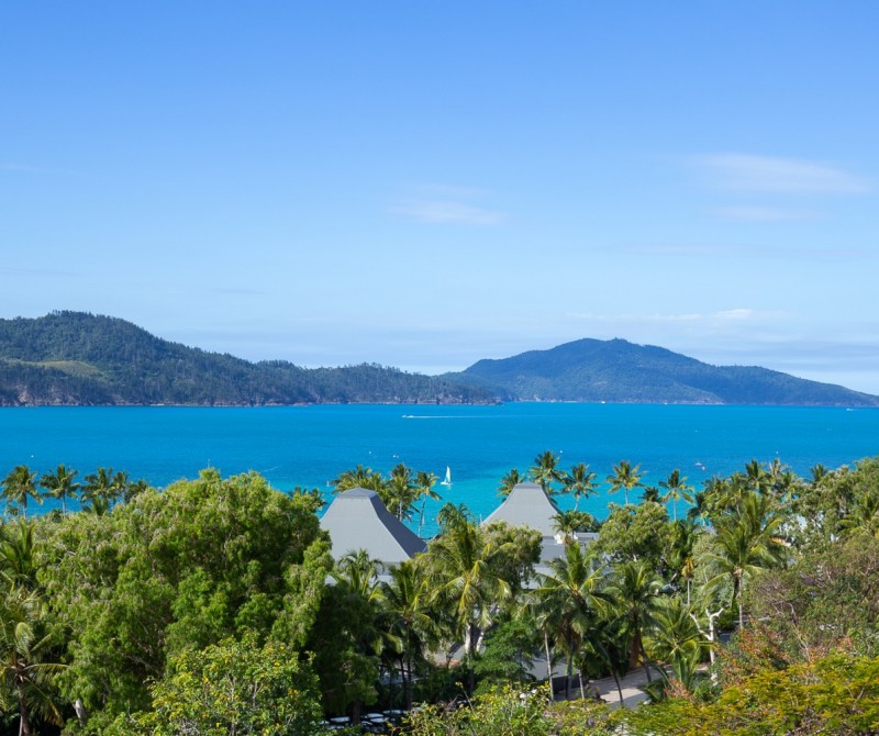 Poinciana 205 HR 0014