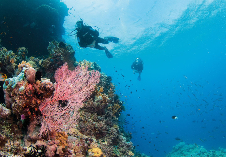 1001280 Explore   01   Diving 3  creator  4 v2